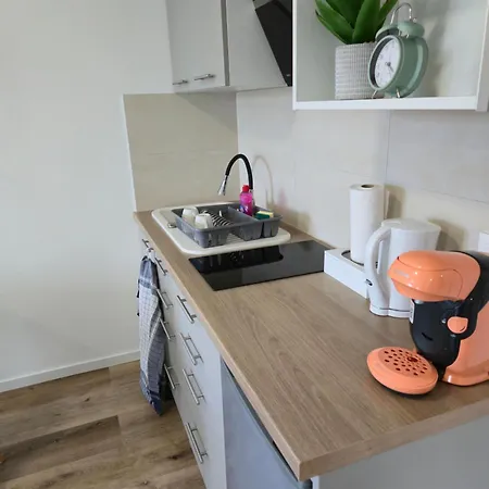 303 - Strasbourg Appartement Green Refait A Neuf Esterno foto