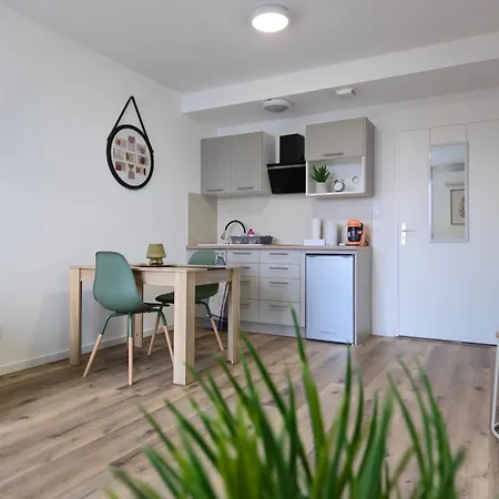 303 - Strasbourg Appartement Green Refait A Neuf Esterno foto