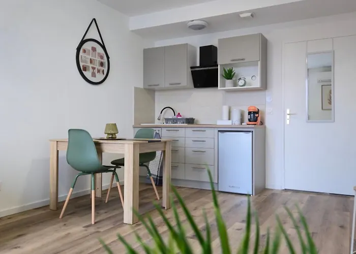 303 - Strasbourg Appartement Green Refait A Neuf